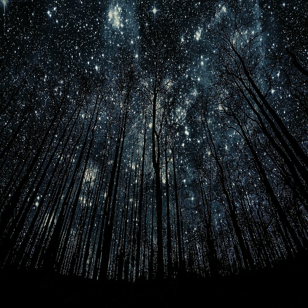 Meet your Posher, Tim